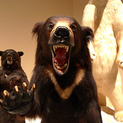 Image2