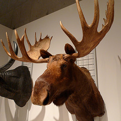 Image3